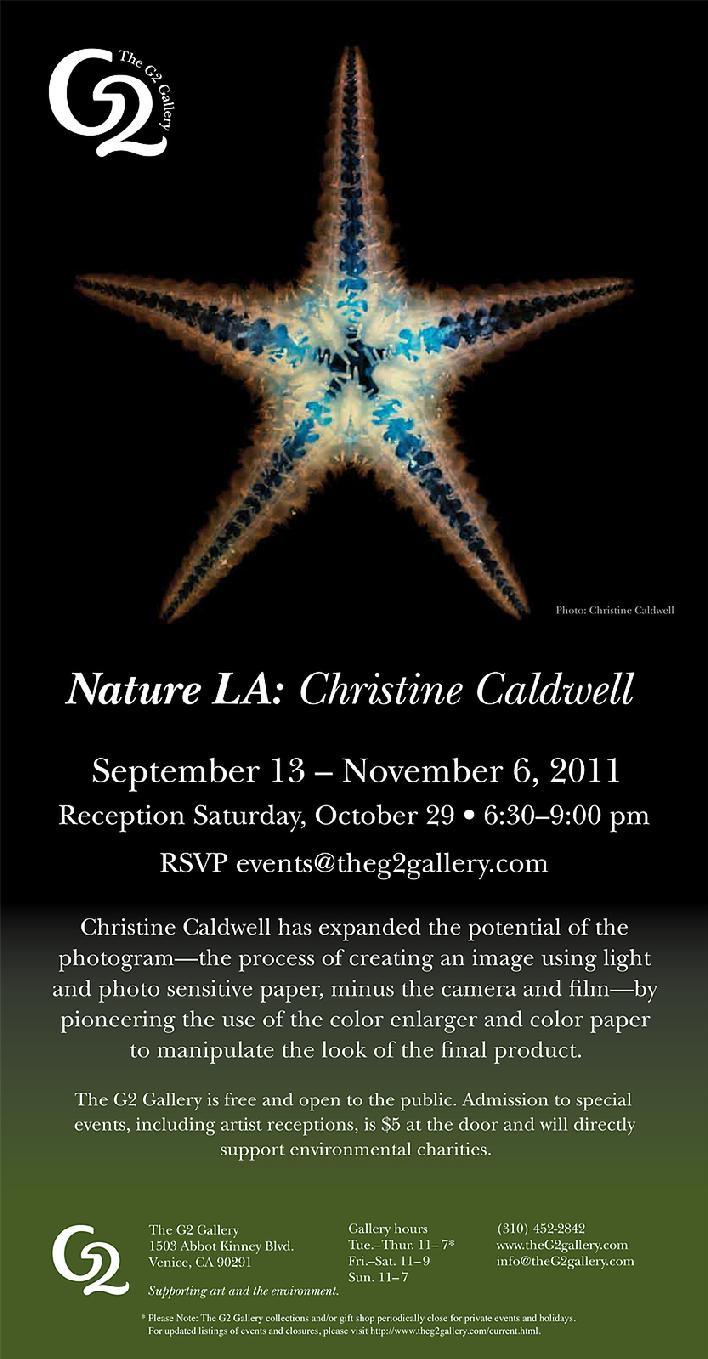 Illuminated Negatives, Christine Calwell, G2 Gallery, Photogram, Oceanatives